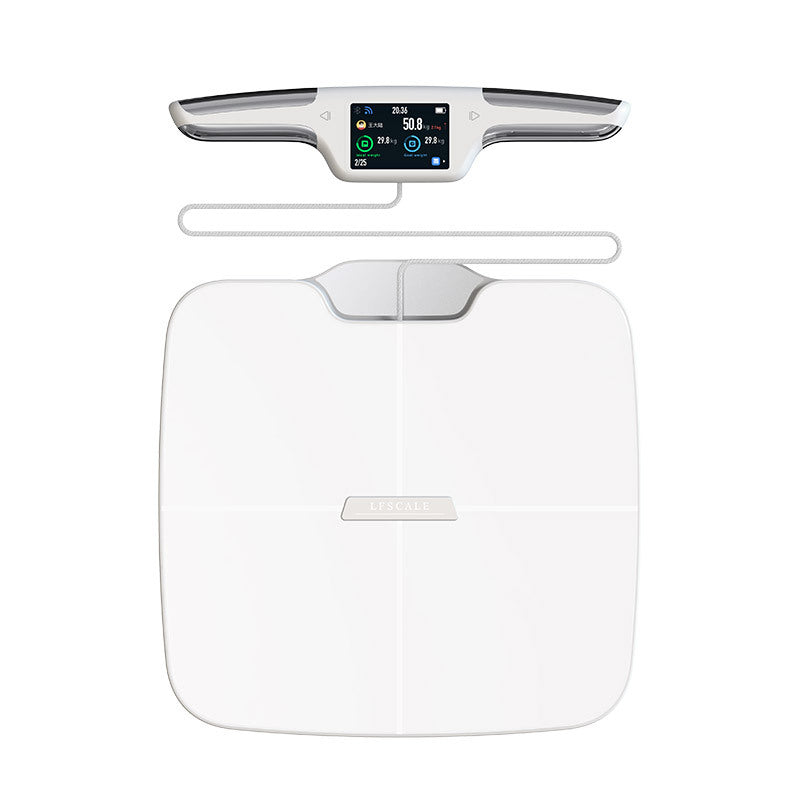 Professional Body Meter Intelligent Precision Electronic Scale Gym Tester