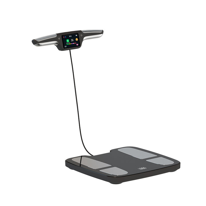 Professional Body Meter Intelligent Precision Electronic Scale Gym Tester